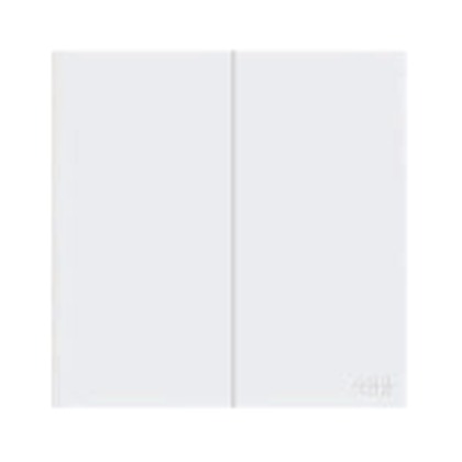 ABB Framia BC122 2 Gang 1 Way Switch 16AX (White)