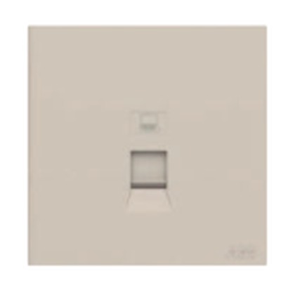 ABB Framia BC318-CH 1 Gang Data Outlet (RJ45, Cat.6) (Champagne Gold)