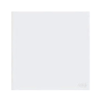 ABB Framia BC504 1 Gang Blank Plate (White)